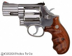 Gun